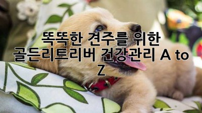 🐶 똑똑한 견주를 위한 #골든리트리버 건강관리 A to Z 💖
