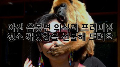 아산 음봉면 의식리 프리미엄 청소, 깨끗함을 선물해 드려요! ✨
